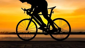 Why Zone-2 Steady-State Cycling Is The Smart Way To Boost Metabolic Health Safely