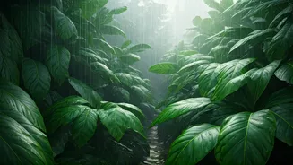 Beyond Tourist Hotspots Lies Monsoon Magic