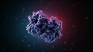 Related Stories banner