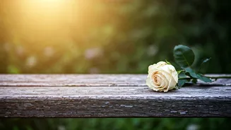 Navigating Grief: Coping After a Loss