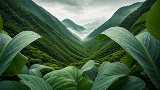 The Rainy Treks Every Nature Lover Needs