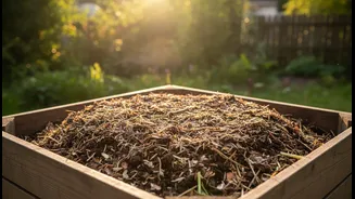 Monsoon Compost Needs Dry Leaves and Air, Not More Activator
