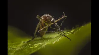How to Prevent Typhoid and Other Monsoon-Related Diseases