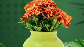 How To Style October Flowering Plants Like Marigolds And Chrysanthemums For Festive Home Decor