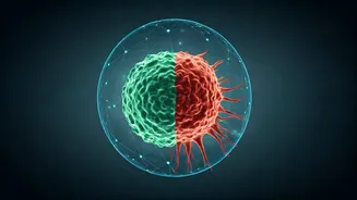 Google AI Makes Cancer Research Progress