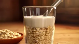 How Fermentable Fiber And Probiotics Optimize Gut-Brain Axis For Mood Focus