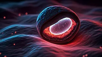 Sleep's Secret Power: Unlocking Your Body's Repair Crew for Peak Health