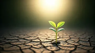 Related Stories banner