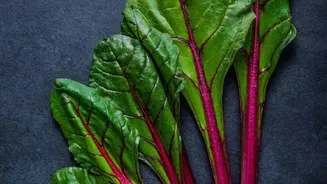 Beet Greens Gets A Fresh Look With Texture And Flavour In Focus