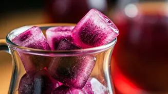 Freeze Kokum Syrup To Make Elite Summer Sparkling Drinks