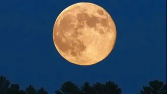 Meteors to 'Beaver Moon': All notable astronomical events in November