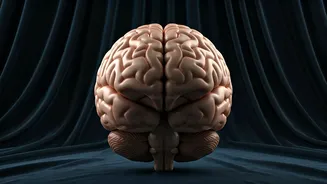 Intermittent Fasting: Cognitive Health Insights