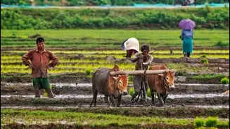 India's 2026 monsoon will determine crop yields and food prices
