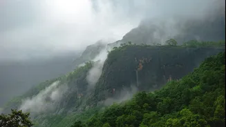 Understanding Monsoon Getaways in India