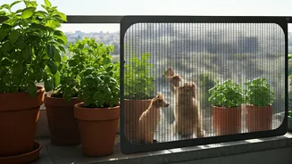Urban Farming Infrastructure Incorporates Advanced Pet Safety Screen Protectors Now