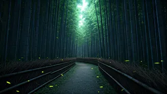 See Bamboo Groves Sparkle On Southern Hill Night Excursion Circuits