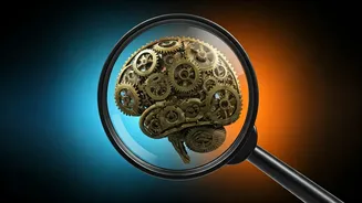 Focus Better: 5 Psychology Tips to Succeed