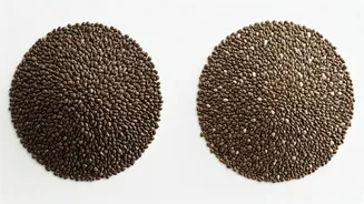Sabja vs. Chia Seeds: Unlocking Their Unique Benefits for Your Diet