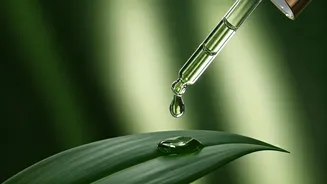 Sérum para Queda de Cabelo: O Que Você Precisa Saber e Como Usar