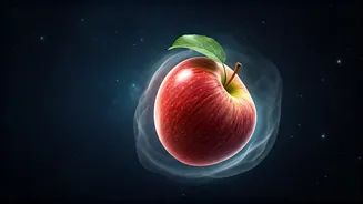 Gravity Gone Wild? Unpacking the Viral Claim of Earth Losing Gravity for 7 Seconds