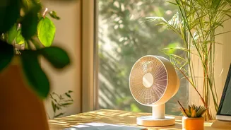 What New Research Means For People Using Plants To Improve Indoor Air