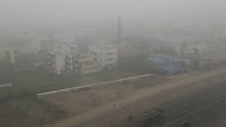 Northeast monsoon withdraws from Tamil Nadu; Cold, dry weather ahead, frost warning for hills