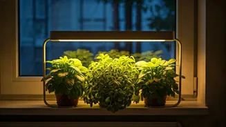 Apartment Greens Need Light That Actually Works