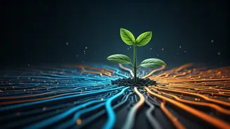 Beyond Bans: Fostering Digital Savvy for India's Young Digital Citizens