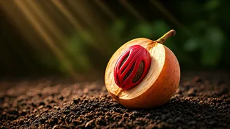 Related Stories banner