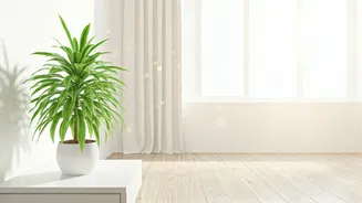 Goodbye Damp, Hello Fresh Spaces