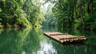Wayanad Weekend Trips: Affordable Homestays And Bamboo Rafting For Kochi Travel Enthusiasts