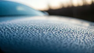 Mumbai's Chilly Mornings: A Weather Update