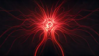 The Silent Threat: How High Blood Pressure Devastates Your Health