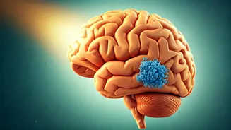 Vitamin D in Your 30s: A Surprising Shield Against Alzheimer's Tau Buildup