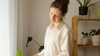 Houseplants Need Preparation before Travel, Not Rescue after Return