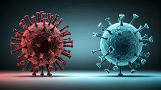 Ebola vs. Covid-19: Entenda as Diferenças Cruciais no Potencial Pandêmico