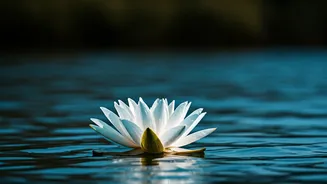 Mahavir Jayanti 2026: Unveiling the Date, History, and Profound Teachings