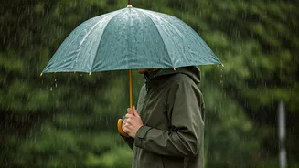 The Future Of Monsoon Gear Looks Greener