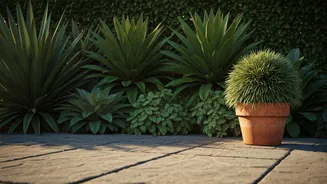 Landscaping Blunders: 6 Projects That Won't Boost Your Home's Resale Value