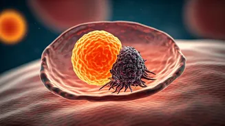 Vitamin C's Unexpected Cancer Combat: A New Dawn in Targeted Therapies
