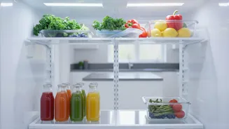 Plans For A Shared-Fridge Agreement Need Clear Decisions On Leftovers And Weekly Clear-Outs