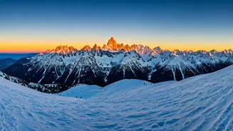 Japan's Seasons: A Journey Through Blossoms, Flavors, & Snow