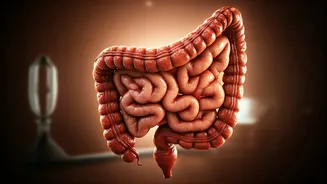 Mumbai's Heatwave Woes: 50% Gut Infection Spike & A Stark Warning from a Hospitalized Patient