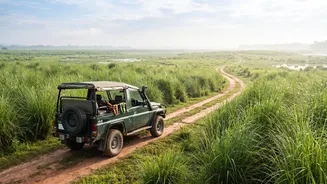 When Kaziranga's Jeep Safaris Run In The 2026-27 Season