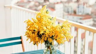 Flowers And Herbs For A More Fragrant Balcony: Key Facts And Context