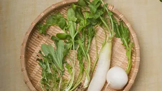 Forest Ingredients Are Moving Into Modern Restaurant Menus, But Add Local Flavour Without Turning Foraging Into Hype