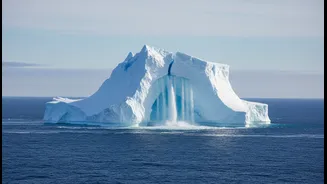 Antarctica Is Not As Far As It Feels
