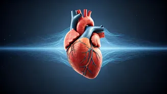 Obstructive Sleep Apnea and Your Heart: A 71% Higher Risk of Serious Health Events