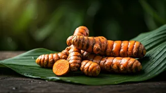 Grow Fresh Turmeric In Pots This Monsoon Season Easily