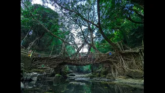 Cherrapunji just hit peak monsoon — the world's wettest village is roaring back